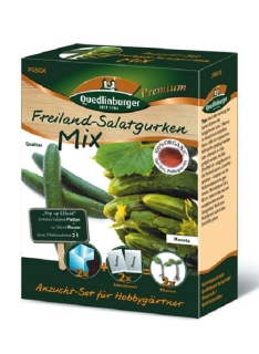 Quedlinburger Saatgut Freilandsalatgurken Anzucht-Set 298018