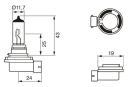 Glühlampe H11 12V 55W, Pure Light